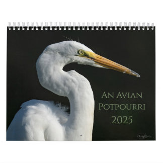 An Avian Potpourri 2025 Calendar