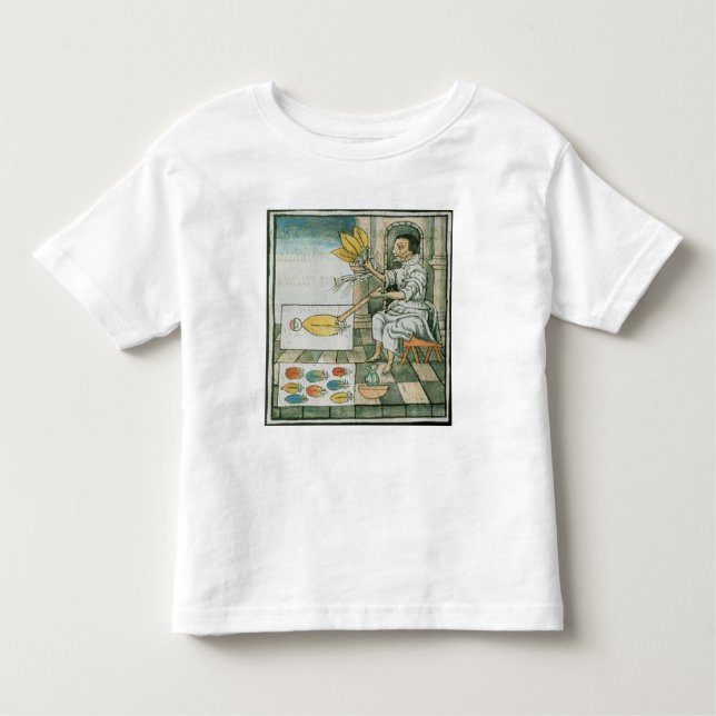 An Aztec feather artisan Toddler T-Shirt (Front)