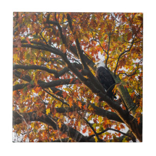 An Eagle in Autumn Ceramic Tile