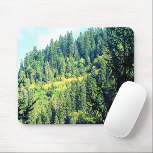 An Eagle in the trees..... Mouse Pad