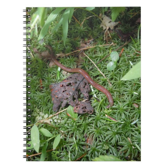 An Earthworm Notebook (Front)