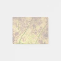 An Earthy Yellow and Brown Leaf Macro Image