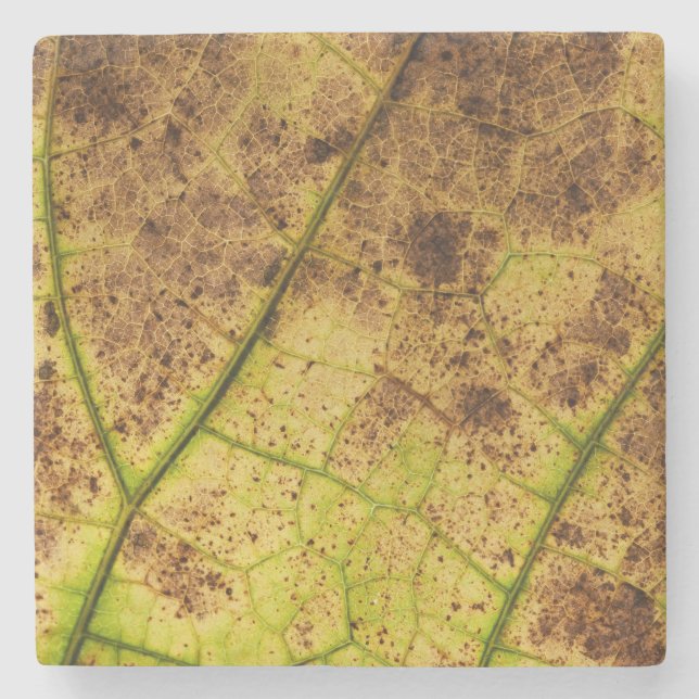 An Earthy Yellow and Brown Leaf Macro Image Stone Coaster (Front)