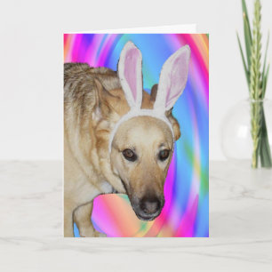 An Easter Bunny? Card