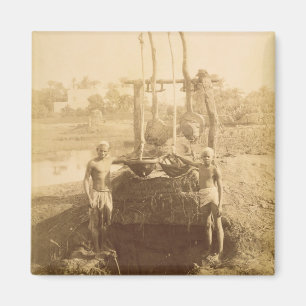 An Egyptian Irrigation Machine on the Banks of the Magnet