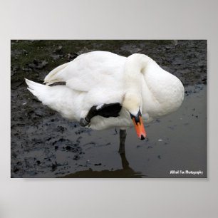 An Elegant Salute Poster
