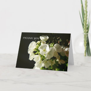 An Elegant Thank You Garden Phlox Card