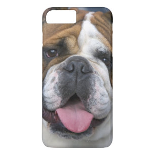 An english bulldog in Belgium. iPhone 8 Plus/7 Plus Case