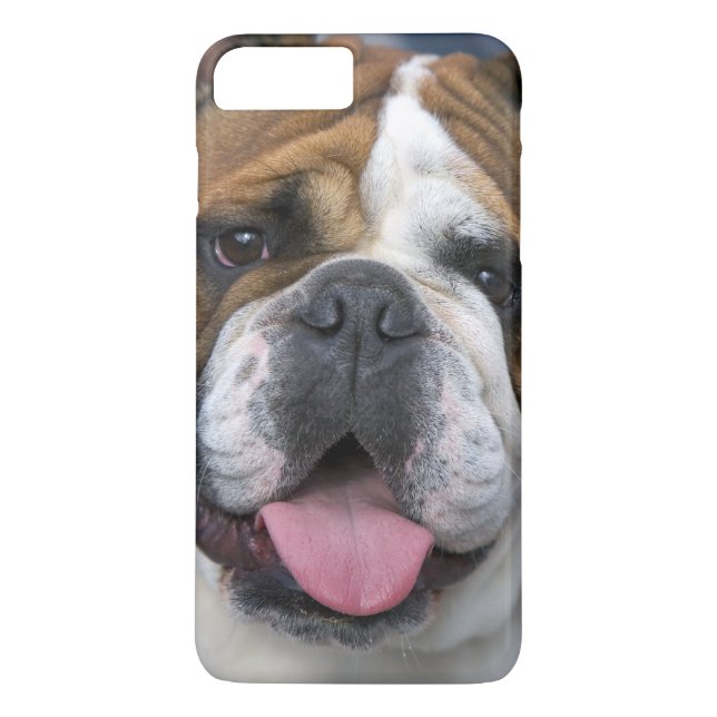 An english bulldog in Belgium. Case-Mate iPhone Case (Back)