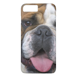 An english bulldog in Belgium iPhone 8 Plus/7 Plus Case