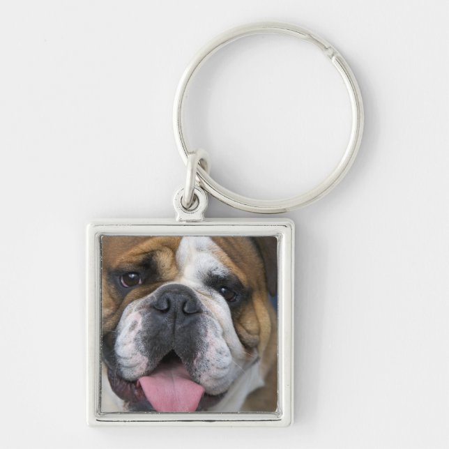 An english bulldog in Belgium. Key Ring (Front)