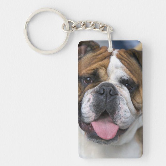 An english bulldog in Belgium. Key Ring (Front)