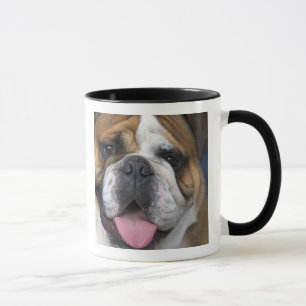 An english bulldog in Belgium. Mug