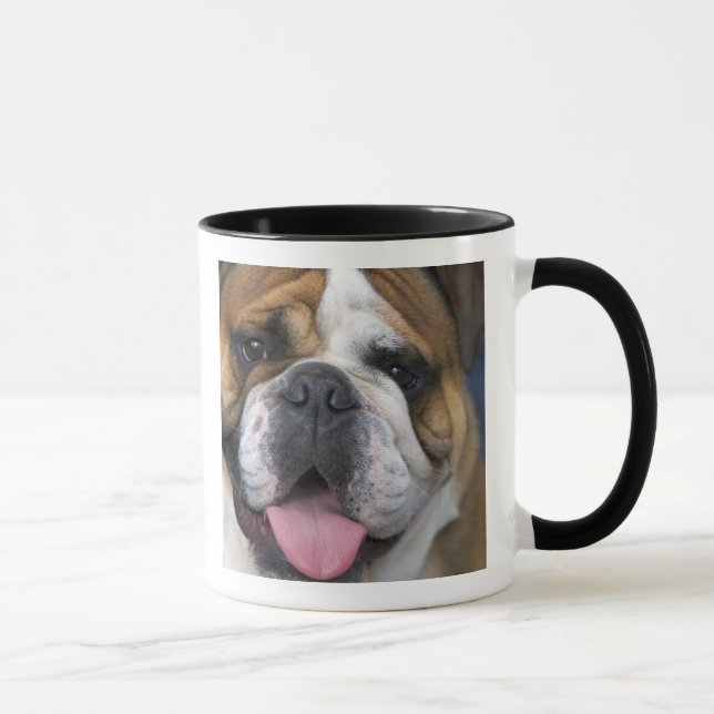 An english bulldog in Belgium. Mug (Right)