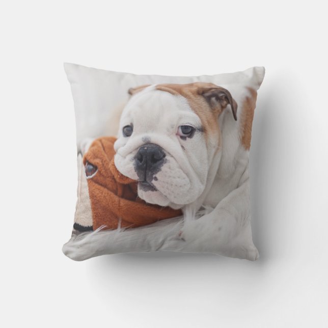 An English Bulldog Puppy Playing With A Bulldog Cushion (Front)