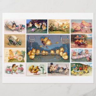 An entertaining set of Easter Chick Postcards