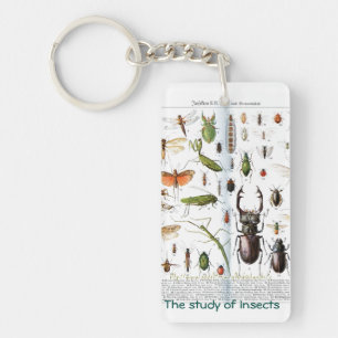 "An entomologist " Key Ring
