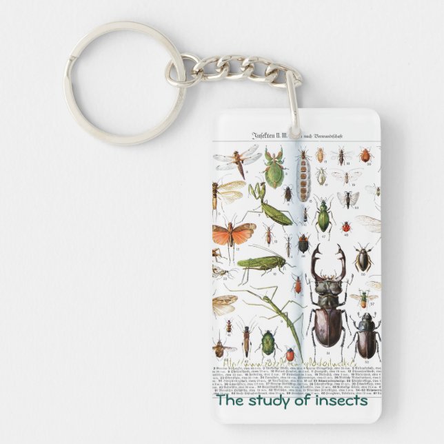 "An entomologist " Key Ring (Front)