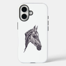 An equine beauty