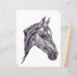 An equine beauty Paper