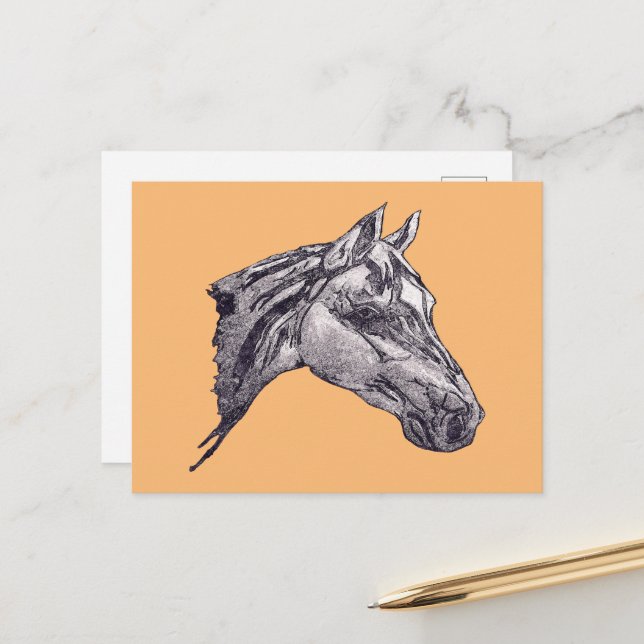 An equine beauty  postcard (Front/Back In Situ)