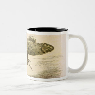 An Evening Ride, illustration from 'In Fairyland: Two-Tone Coffee Mug