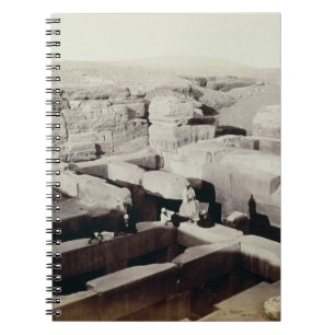 An Excavated Temple at the foot of the Sphinx, 4th Notebook