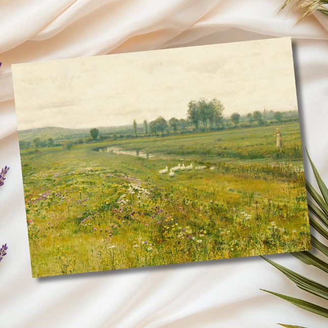 An Extensive Meadow Landscape with Geese Postcard (Creator Uploaded)