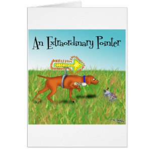 An Extraordinary Pointer