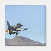An F-16E from the United Arab Emirates