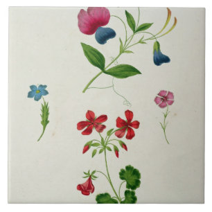 An illustration from 'A New Treatise on Flower Pai Ceramic Tile