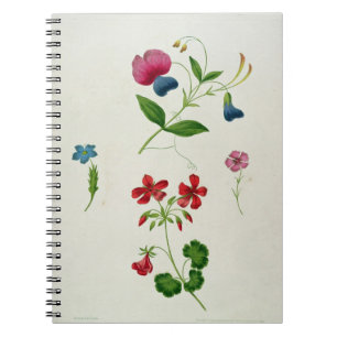 An illustration from 'A New Treatise on Flower Pai Notebook