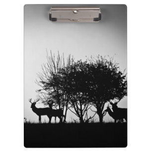 An image of some deer in the morning mist clipboard