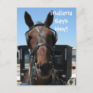 An Indiana Hey! Postcard