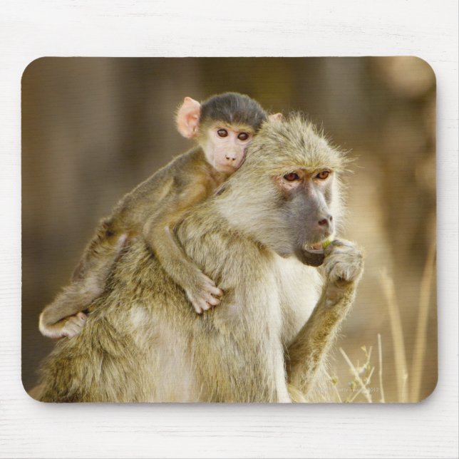 An infant Yellow Baboon(Papio Mouse Pad (Front)