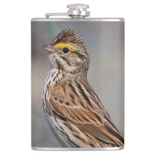 An Inquisitive Savannah Sparrow Hip Flask