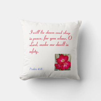 An Inspiring Throw Pillow