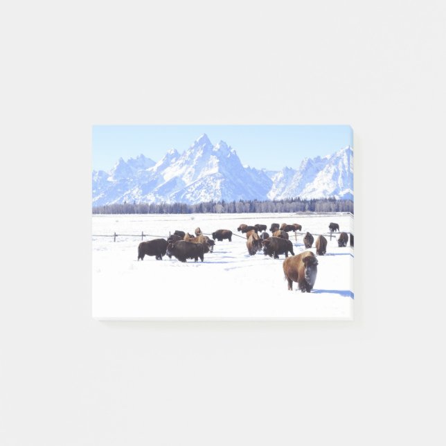 An Interesting new Note style (Front)