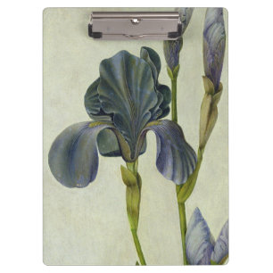 An Iris Clipboard
