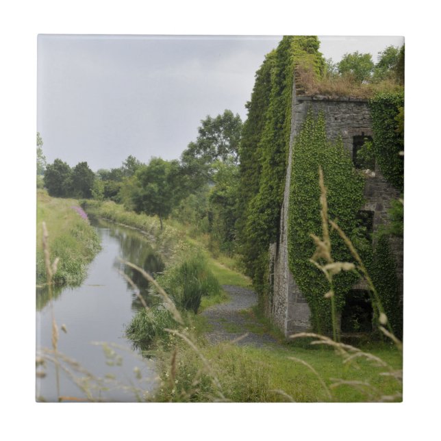 An Irish Canal Tile (Front)