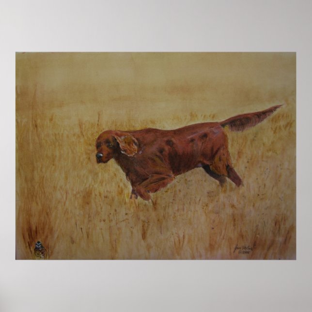 An Irish Field Day Poster (Front)