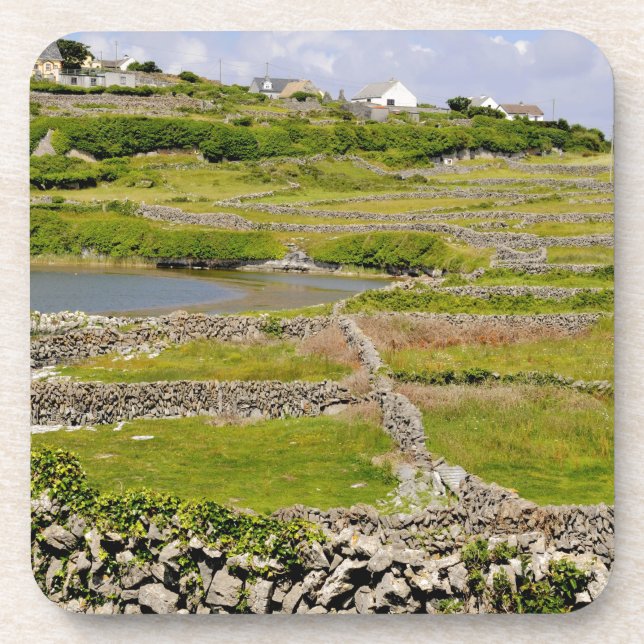 An Irish Stone Wall Coaster (Front)