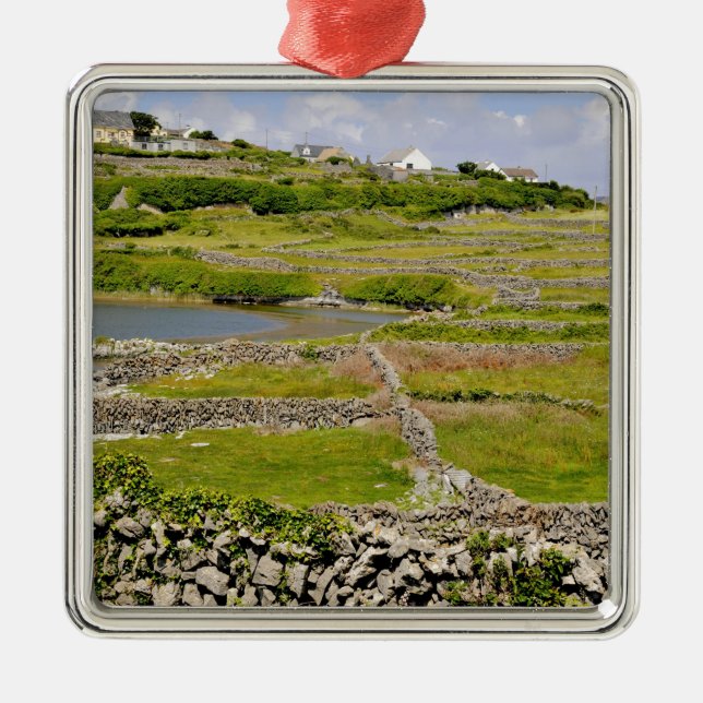 An Irish Stone Wall Metal Tree Decoration (Front)