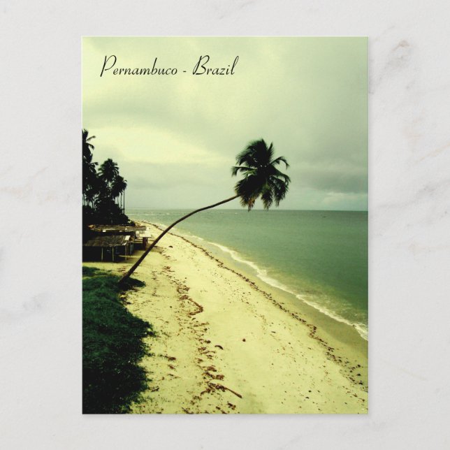 An island. Pernambuco, Brazil Postcard (Front)