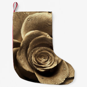 An old-fashioned rose close up, wet with water dro small christmas stocking