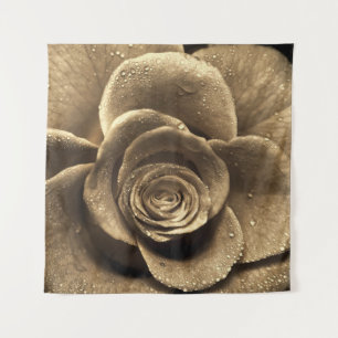 An old-fashioned rose close up, wet with water dro tapestry