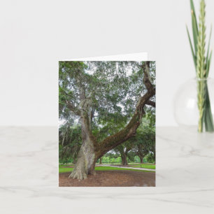 An Old Oak Tree Card