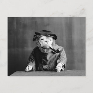 An Old Sea Dog: 1905 Postcard
