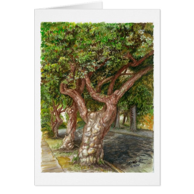 An old tree in L.A (Front)