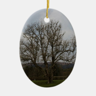 An old tree in the middle of playground and garden ceramic tree decoration